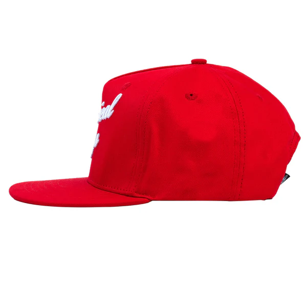 Red Script Back Snap-It-Back Script Hat (Red) – Shine Guys